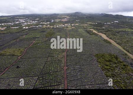 Isola di Pico Azzorre vigneto uve protette da pietra lavica vista aerea panorama Foto Stock