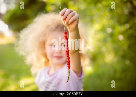 Bambino di 5 anni che tiene paglia d'erba con corda di fragole selvatiche Fragaria vesca all'aperto nella soleggiata giornata estiva. Fuoco selettivo su stringa. Estate v Foto Stock