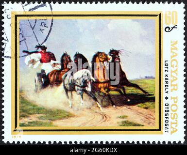 UNGHERIA - CIRCA 1979: Un francobollo stampato in Ungheria dal numero 'dipinti animali' mostra Coach e Five (Karoly Lotz), circa 1979. Foto Stock