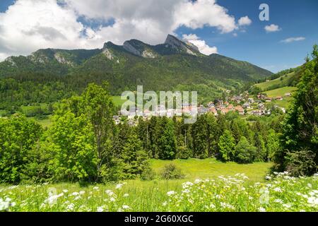 Francia, Isere, massiccio della Chartreuse, il villaggio di Saint Pierre de Chartreuse e il Grand Som (2026 m) Foto Stock