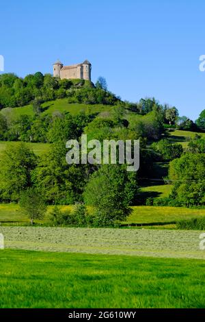 Francia, Doubs, Belvoir, castello di Belvoir datato 12 ° secolo