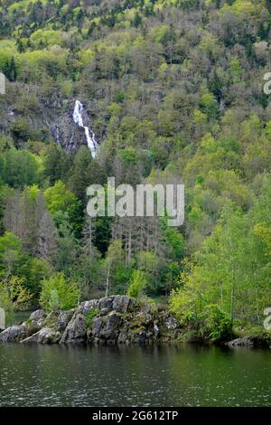 Francia, Alto Reno, Sewen, lago di Alfeld, cascata di Wasserfall Foto Stock