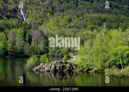 Francia, Alto Reno, Sewen, lago di Alfeld, cascata di Wasserfall Foto Stock