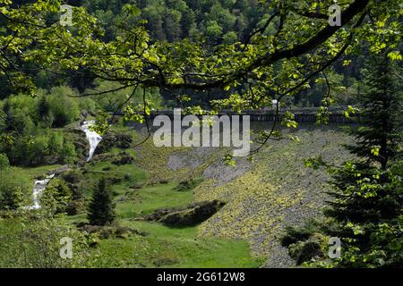 Francia, Alto Reno, Sewen, lago di Alfeld, la diga, Torrente Seebach Foto Stock