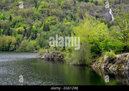 Francia, Alto Reno, Sewen, lago di Alfeld, cascata di Wasserfall Foto Stock