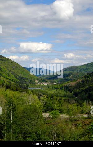 Francia, Alto Reno, Sewen, lago di Sewen, villaggio, Dal lago di Alfeld Foto Stock