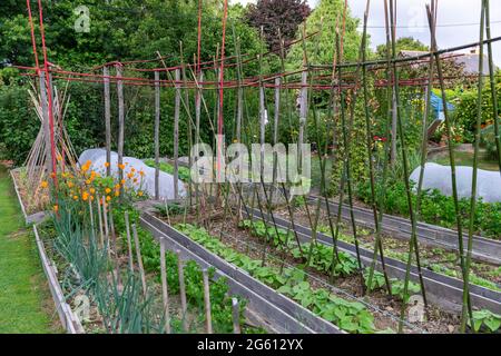 Francia, Ille et Vilaine, Corps Nuds, la Lande aux Pitois, Les jardins Rocambole, ortaggi artistici e giardini botanici in agricoltura biologica, un incontro tra arte e natura, orto, coltivazione di verdure Foto Stock