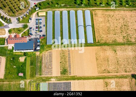 Francia, Senna e Marna, Meaux, serra agricola (vista aerea) Foto Stock