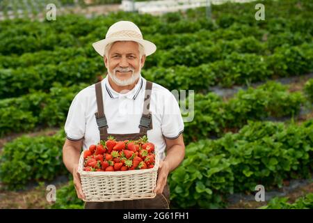 Sorridente contadino caucasico con cappello bianco e tute marroni che tengono il cesto con fragole mature. Uomo anziano in piedi su serra all'aperto con raccolto stagionale in mani. Foto Stock