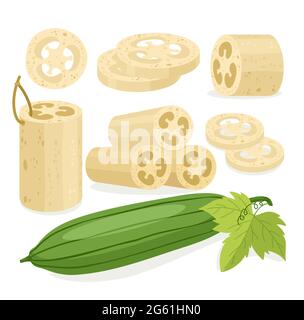 Set di illustrazioni vettoriali in spugna di loofah, collezione di loofa piatti di cartoni animati con accessorio da bagno organico per la pelle di scrub corpo icone isolate su bianco Illustrazione Vettoriale