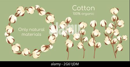 Set di illustrazioni vettoriali di piante di cotone biologico, ramificazione di semi di cotone piano cartoon con gabbie di fiori testurizzati bianchi, materie prime naturali per tessuti ecologici Illustrazione Vettoriale