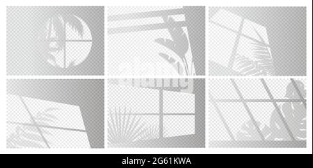 Luci per finestre piantine Illustrazione Vettoriale