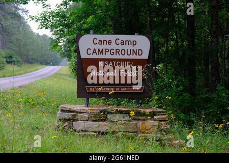 Campo di canna Campground in Kisatchie National Forest in Louisiana Foto Stock