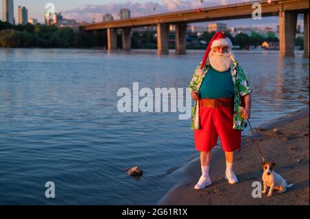 Babbo Natale indossa pantaloncini che camminano lungo la spiaggia con il cane Jack Russell Terrier. Foto Stock