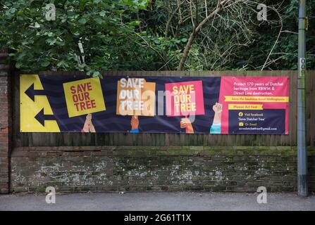 Datchet, Regno Unito. 1 luglio 2021. Un banner per la campagna Save Datchet Tree. I residenti locali e i consiglieri stanno facendo campagna per salvare un albero di Wellingtonia o di sequoia gigante (Sequoiadendron giganteum) pensato per essere 150-175 anni e incluso nel Woodland Trust's Ancient Tree Inventory da quando una domanda è stata fatta per la sua rimozione da parte dei proprietari di una proprietà adiacente. Sebbene il Royal Borough di Windsor e Maidenhead abbia concesso il permesso di rimozione a seguito di una questione di subsidenza, le parti interessate continuano ad esaminare soluzioni alternative. Credito: Mark Ker Foto Stock