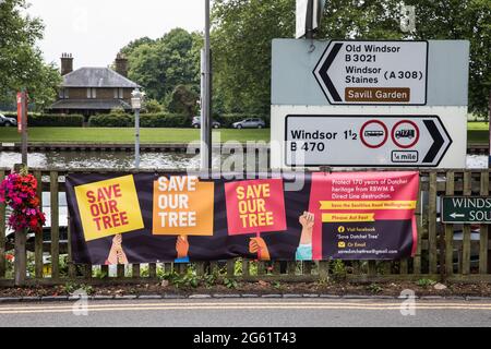 Datchet, Regno Unito. 1 luglio 2021. Un banner per la campagna Save Datchet Tree. I residenti locali e i consiglieri stanno facendo campagna per salvare un albero di Wellingtonia o di sequoia gigante (Sequoiadendron giganteum) pensato per essere 150-175 anni e incluso nel Woodland Trust's Ancient Tree Inventory da quando una domanda è stata fatta per la sua rimozione da parte dei proprietari di una proprietà adiacente. Sebbene il Royal Borough di Windsor e Maidenhead abbia concesso il permesso di rimozione a seguito di una questione di subsidenza, le parti interessate continuano ad esaminare soluzioni alternative. Credito: Mark Ker Foto Stock