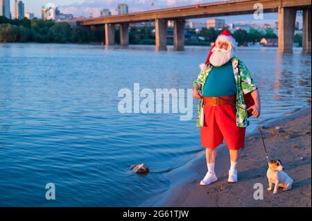 Babbo Natale indossa pantaloncini che camminano lungo la spiaggia con il cane Jack Russell Terrier. Foto Stock