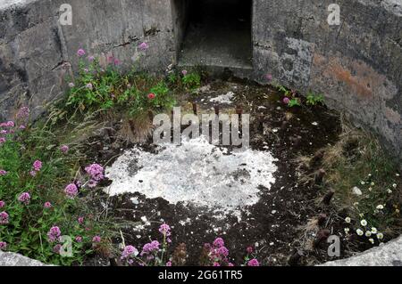 Resti di una arma della seconda guerra mondiale, ambientato nella parete rocciosa, presso il sito di Brownstone Emergency Battery a Froward Point vicino a Kingsmere, Devon. Foto Stock