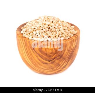 Grani di orzo perlato in ciotola di oliva, isolati su sfondo bianco. Primo piano di semi d'orzo. Foto Stock