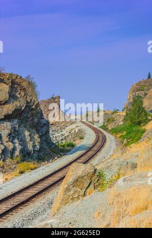 La ferrovia dell'Alaska sull'autostrada Seward nel parco statale di Chugach. Foto Stock