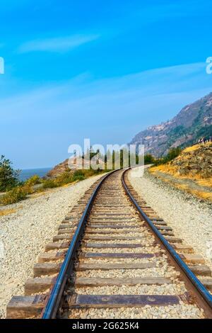 La ferrovia dell'Alaska sull'autostrada Seward nel parco statale di Chugach. Foto Stock