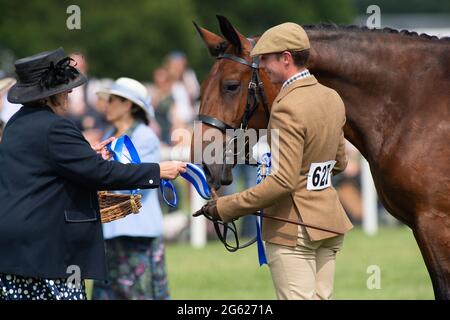 Windsor, Berkshire, Regno Unito. 1 luglio 2021. Dopo una visita in Scozia questa settimana la regina Elisabetta II è stata al Royal Windsor Horse Show questo pomeriggio. Her Majesty's Horse Hampton Court Margin (nella foto) ha vinto il miglior cavallo della Cleveland Bay, in concorso a mano. Credito: Maureen McLean/Alamy Foto Stock