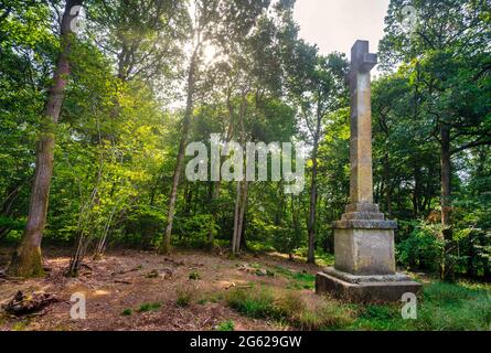 The sun shines behind surrounding trees near dawn.A grade two listed monument,a stone cross erected in 1825 in a clearing of the woods. Foto Stock