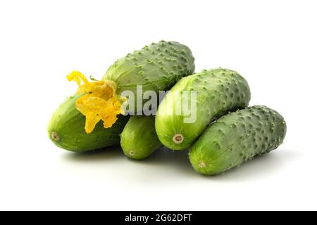 Piccoli cetrioli da vicino, cetriolini sono isolati su sfondo bianco. Foto Stock