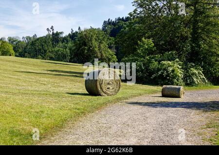 balle rotonde di fieno appena raccolte su un sentiero di ghiaia grigia di fronte ad un prato falciato, sullo sfondo verde foresta estiva con cielo blu, Foto Stock