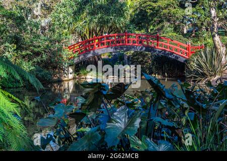 Kawasaki Bridge Wollongong Botanic Gardens Foto Stock