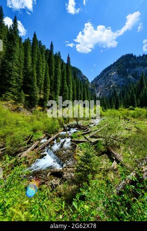 Paesaggio della montagna, fiume, abete rosso, Paesaggio 110 anni dopo il terremoto, Kazakistan Foto Stock