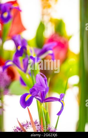 Foglie di gigli viola in bouquet Foto Stock