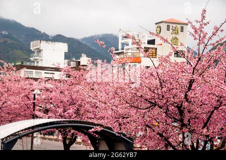 Hakone, sulle montagne del Giappone, è un popolare resort situato all'interno del Parco Nazionale Fuji-Hakone-Izu, vulcanicamente attivo. Foto Stock