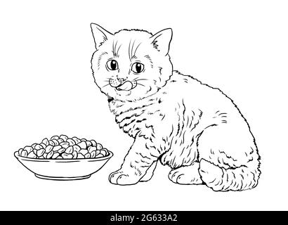 Carino gattino mentre mangia. Modello per un libro da colorare con i gatti piccoli. Foto Stock