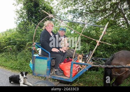 Dunmanyway, Cork, Irlanda. 01 luglio 2021. Kathleen e James o' Driscoll vanno ad un negozio locale per i messaggi sul loro pony e trappola con i loro quattro cani Bruna, Terry, Printo e Tyson a Dunmanyway, Co. Cork, Irlanda. - immagine; David Creedon / Alamy Live News Foto Stock