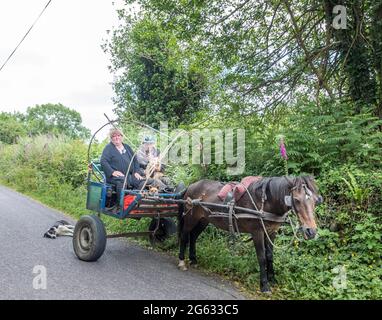 Dunmanyway, Cork, Irlanda. 01 luglio 2021. Kathleen e James o' Driscoll vanno ad un negozio locale per i messaggi sul loro pony e trappola con i loro quattro cani Bruna, Terry, Printo e Tyson a Dunmanyway, Co. Cork, Irlanda. - immagine; David Creedon / Alamy Live News Foto Stock