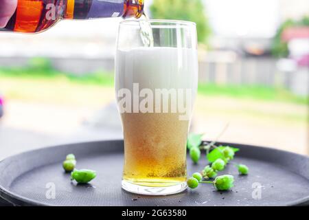 Birra chiara dorata che si versa in un bicchiere dalla bottiglia. Vassoio con luppolo verde e tazza con lager gialla nel giardino estivo Foto Stock