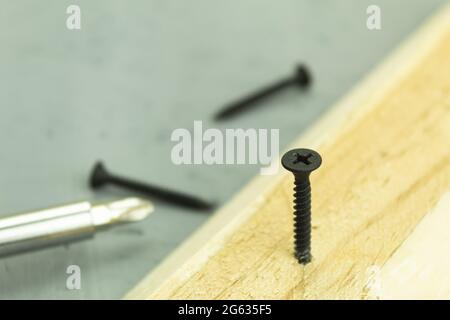 Una vite nera è avvitata nella scheda. Processo di lavoro del falegname, vite autofilettante è avvitata in legno. Vite di fissaggio per edilizia. Backgrou Foto Stock