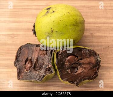 Frutta di budino al cioccolato matura, sapote nero, Diospyros nigra. Pelle verde chiaro con polpa marrone scuro e morbida. Coltivato in Australia, pronto a mangiare. Foto Stock