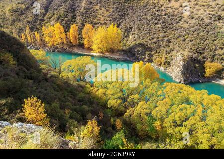 Le acque turchesi del fiume Kawarau, nell'isola meridionale della Nuova Zelanda, sono circondate da alberi d'autunno Foto Stock