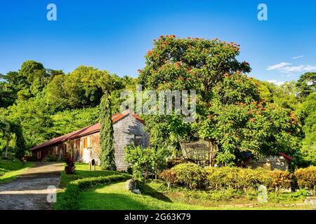 Fabbrica di cioccolato a Grenada. Jouvay piantagione caraibica, piccole Antille, Indie Occidentali Foto Stock