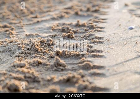 Tracce di pneumatici auto nella sabbia del mare Foto Stock