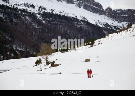 Ricerca di indicazioni nella foresta Foto Stock