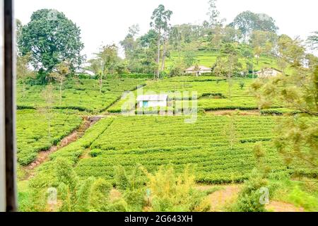 Piccolo villaggio che ospita lavoratori piantagioni di tè nel distretto di nuwara eliya, provincia centrale, sri Lanka, asia meridionale Foto Stock