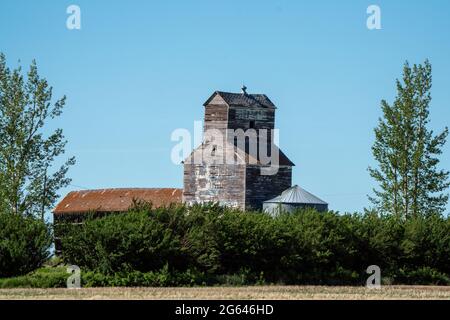 Delapitated Grain Elevator Tuxford Saskatchewan Canada Storage Foto Stock