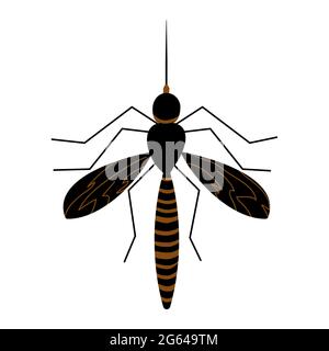 Zanzara isolato su sfondo bianco. Simbolo, simbolo o segno semplice. Vista dall'alto dal design con silhouette di zanzara. Controllo di insetto. Illustrazione vettoriale Illustrazione Vettoriale