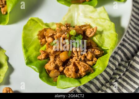 Involtini di lattuga asiatica di pollo macinato fatti in casa con castagne Foto Stock