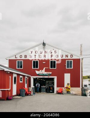 Cartello Youngs Lobster Pound a Belfast, Maine Foto Stock