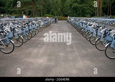 Parcheggio per biciclette all'ingresso del Parco Nazionale De Hoge Veluwe, Paesi Bassi Foto Stock