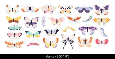 Farfalle e caterpiloni decorativi. Carino esotico farfalla, falena e larva. Colorati insetti volanti estivi con ali, set vettoriale tatuaggio Illustrazione Vettoriale